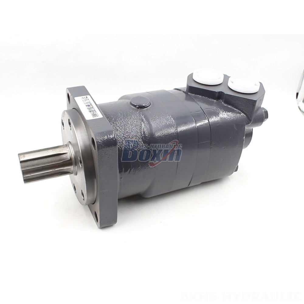BM6 Cycloid Hydraulic Motor OEM/ODM Services: 195 cc/r, 150 Lpm main image